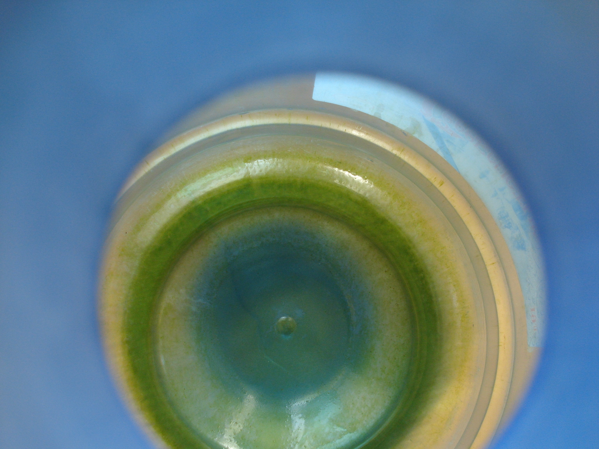 Осадок серо зеленого цвета. Зеленый налет в бутыли. Дно бутылки. Пробка с зеленым оттенком. Зеленый налет в бутылке.